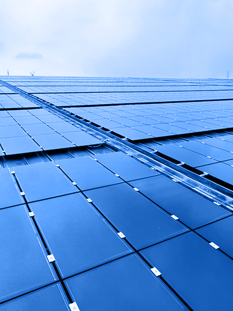 ��� �뵼��